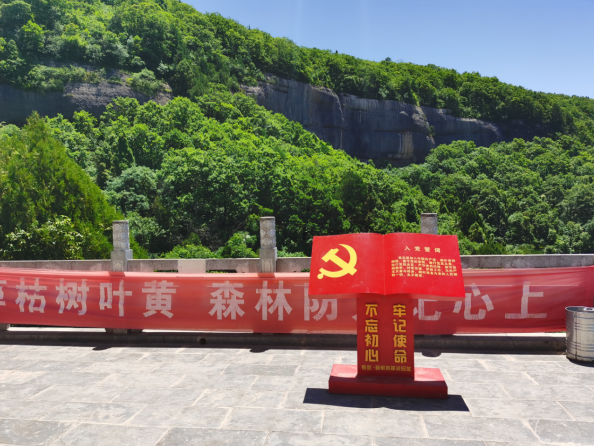 &#108;&#101;&#121;&#117;&#20048;&#40060;